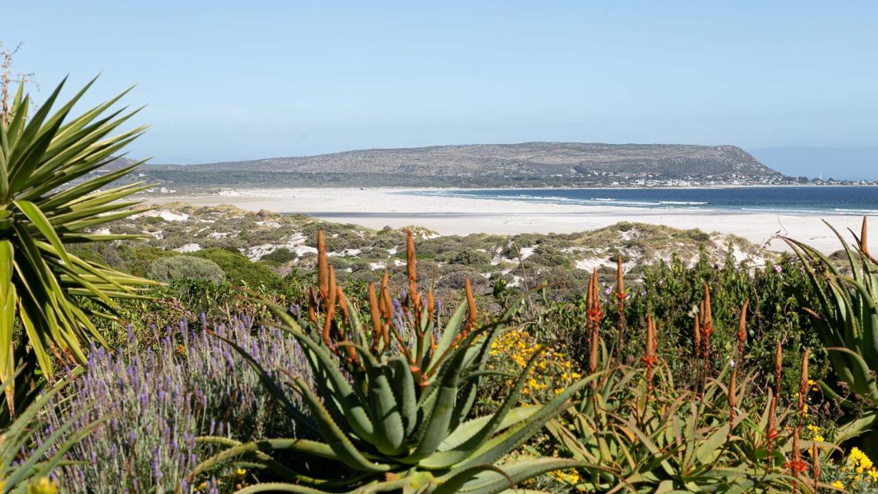Noordhoek Bliss House Holiday home Cape Town